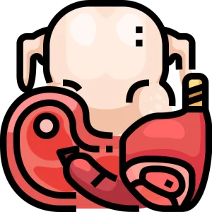 Carnes y Charcuterías